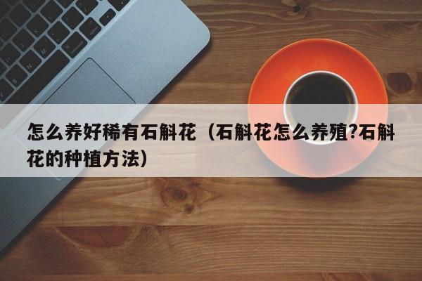 怎么养好稀有石斛花（石斛花怎么养殖?石斛花的种植方法）