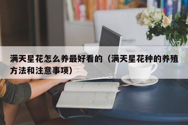 满天星花怎么养最好看的（满天星花种的养殖方法和注意事项）