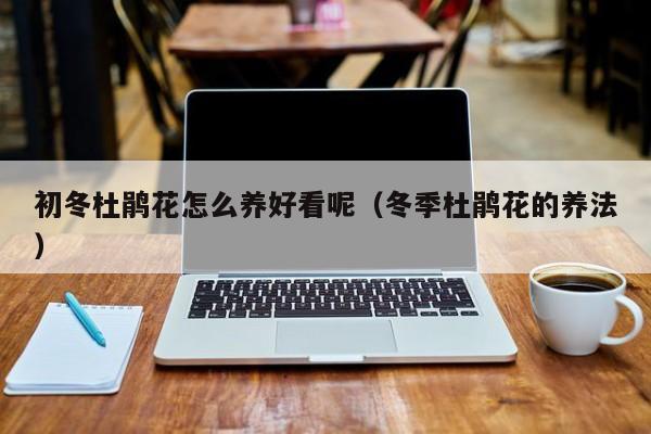 初冬杜鹃花怎么养好看呢（冬季杜鹃花的养法）