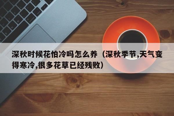 深秋时候花怕冷吗怎么养（深秋季节,天气变得寒冷,很多花草已经残败）