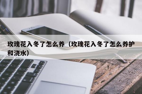 玫瑰花入冬了怎么养（玫瑰花入冬了怎么养护和浇水）