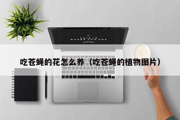 吃苍蝇的花怎么养（吃苍蝇的植物图片）