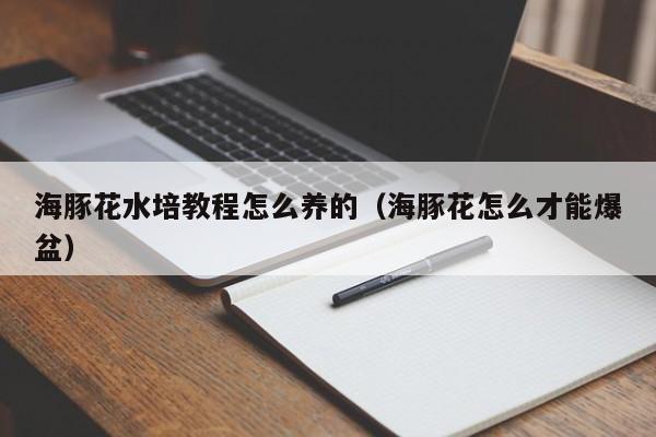 海豚花水培教程怎么养的（海豚花怎么才能爆盆）