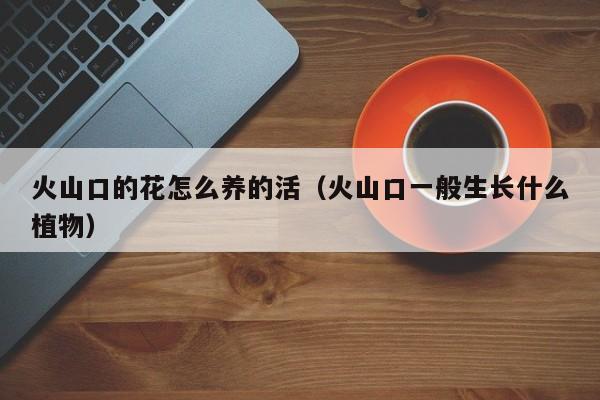 火山口的花怎么养的活（火山口一般生长什么植物）