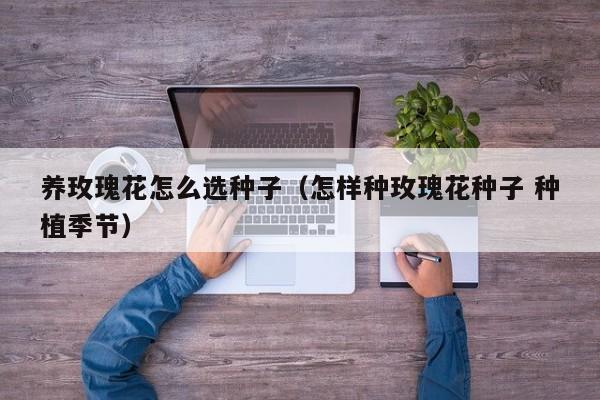 养玫瑰花怎么选种子（怎样种玫瑰花种子 种植季节）