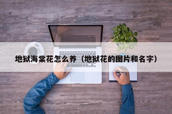 地狱海棠花怎么养（地狱花的图片和名字）