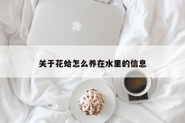 关于花蛤怎么养在水里的信息