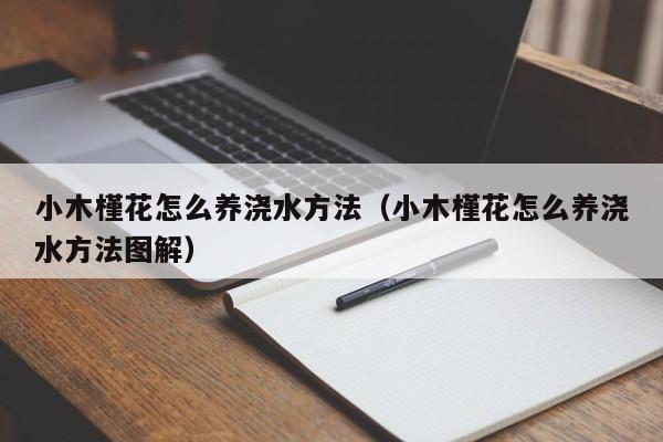 小木槿花怎么养浇水方法（小木槿花怎么养浇水方法图解）