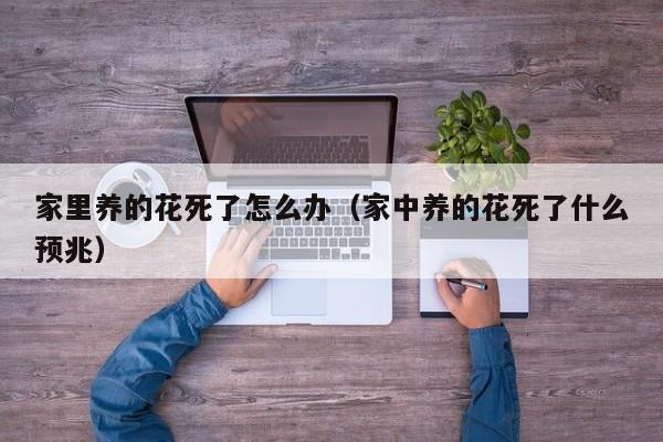 家里养的花死了怎么办（家中养的花死了什么预兆）