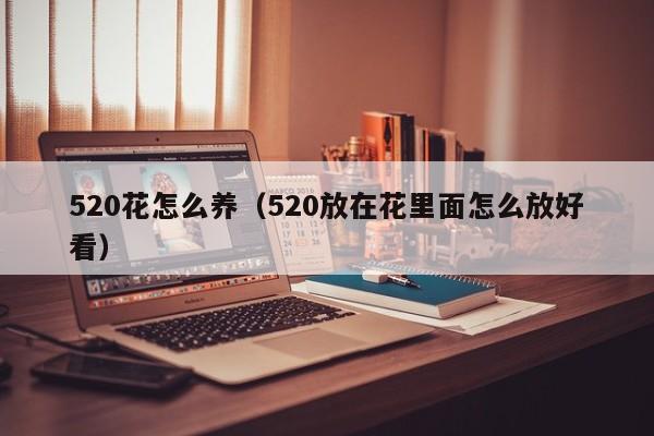 520花怎么养（520放在花里面怎么放好看）