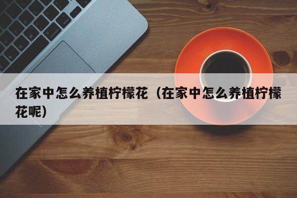 在家中怎么养植柠檬花（在家中怎么养植柠檬花呢）