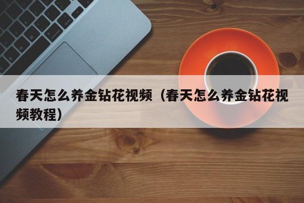 春天怎么养金钻花视频（春天怎么养金钻花视频教程）
