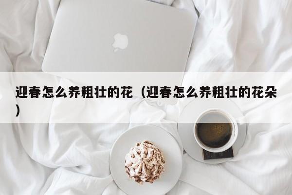 迎春怎么养粗壮的花（迎春怎么养粗壮的花朵）