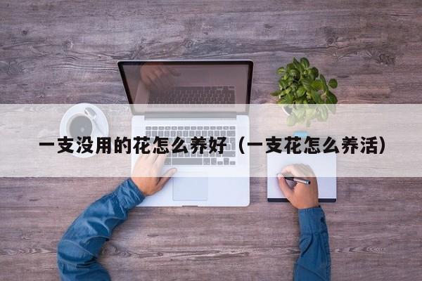 一支没用的花怎么养好（一支花怎么养活）