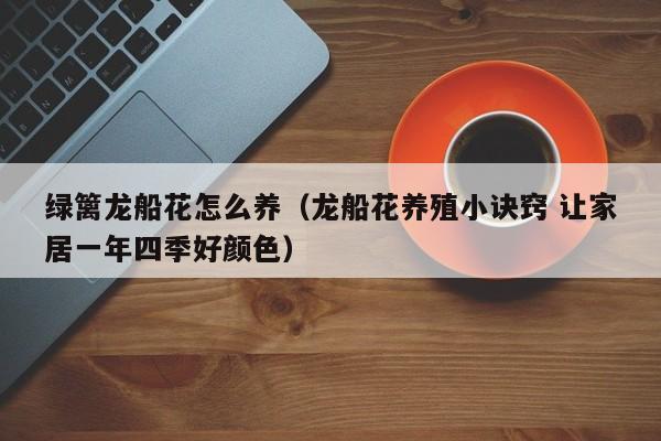 绿篱龙船花怎么养（龙船花养殖小诀窍 让家居一年四季好颜色）