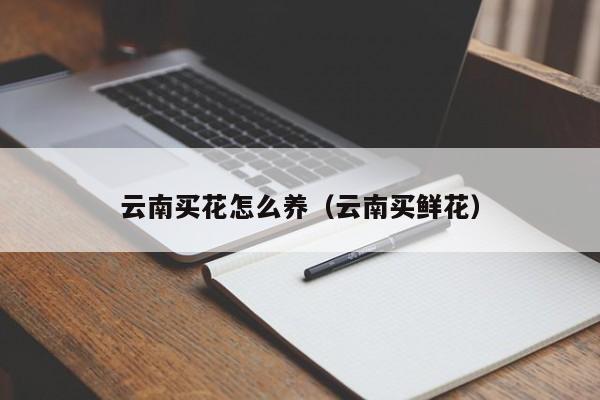 云南买花怎么养（云南买鲜花）