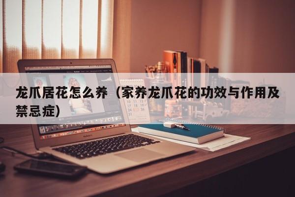 龙爪居花怎么养（家养龙爪花的功效与作用及禁忌症）