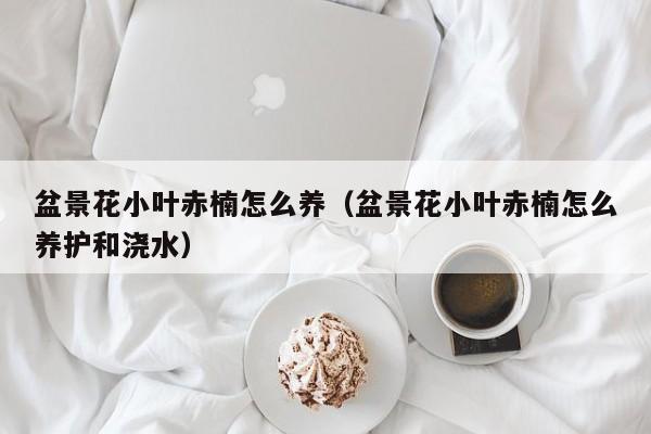 盆景花小叶赤楠怎么养（盆景花小叶赤楠怎么养护和浇水）