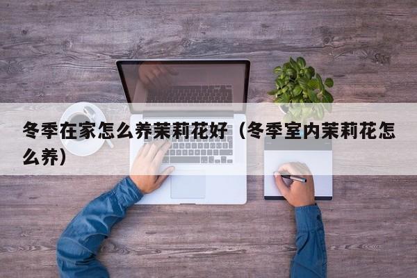 冬季在家怎么养茉莉花好（冬季室内茉莉花怎么养）