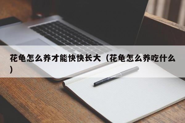 花龟怎么养才能快快长大（花龟怎么养吃什么）