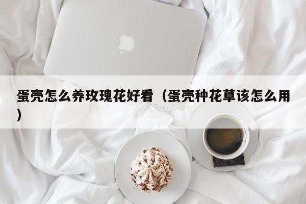 蛋壳怎么养玫瑰花好看（蛋壳种花草该怎么用）