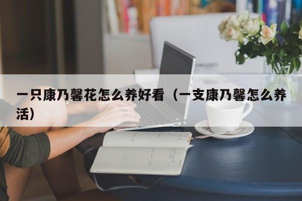 一只康乃馨花怎么养好看（一支康乃馨怎么养活）