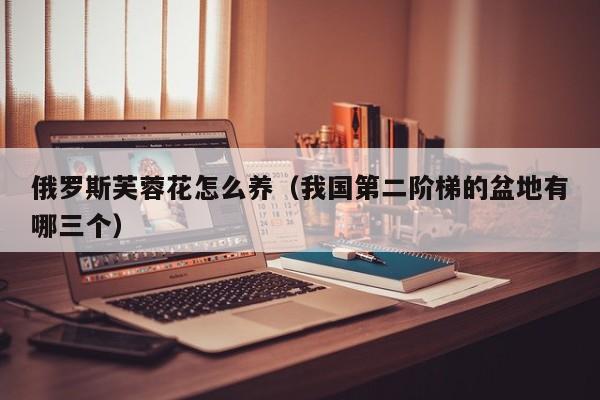 俄罗斯芙蓉花怎么养（我国第二阶梯的盆地有哪三个）