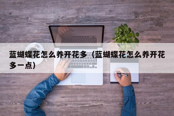 蓝蝴蝶花怎么养开花多（蓝蝴蝶花怎么养开花多一点）