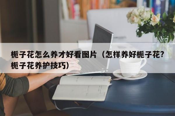 栀子花怎么养才好看图片（怎样养好栀子花?栀子花养护技巧）