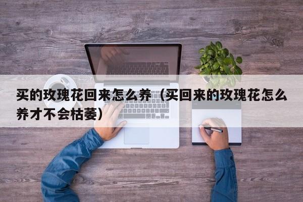 买的玫瑰花回来怎么养（买回来的玫瑰花怎么养才不会枯萎）