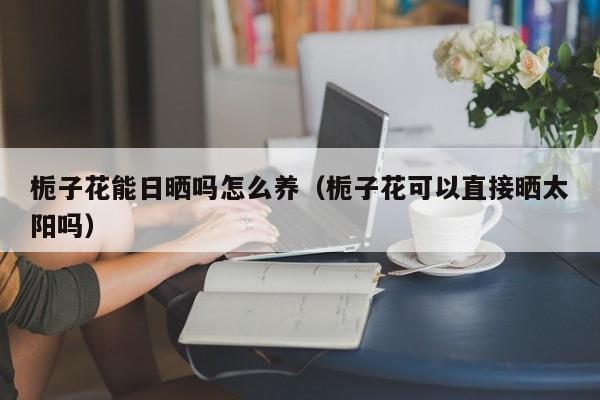 栀子花能日晒吗怎么养（栀子花可以直接晒太阳吗）