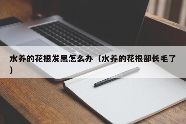 水养的花根发黑怎么办（水养的花根部长毛了）