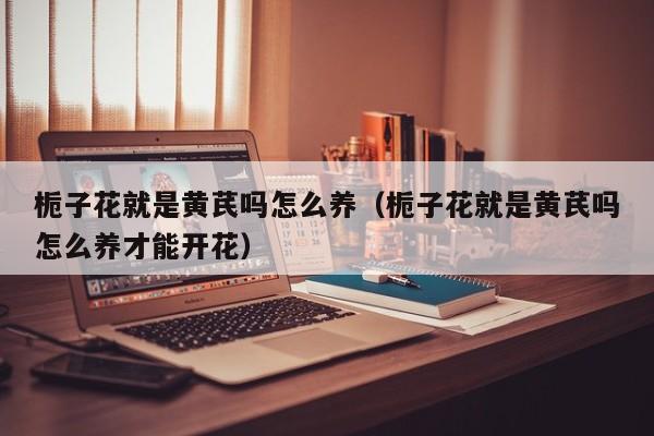 栀子花就是黄芪吗怎么养（栀子花就是黄芪吗怎么养才能开花）