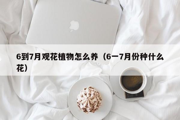 6到7月观花植物怎么养（6一7月份种什么花）