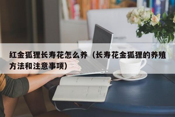 红金狐狸长寿花怎么养（长寿花金狐狸的养殖方法和注意事项）