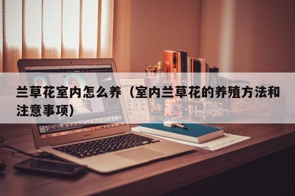 兰草花室内怎么养（室内兰草花的养殖方法和注意事项）