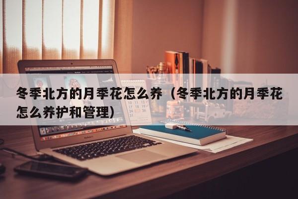 冬季北方的月季花怎么养（冬季北方的月季花怎么养护和管理）