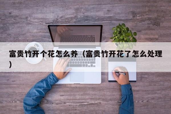 富贵竹开个花怎么养（富贵竹开花了怎么处理）