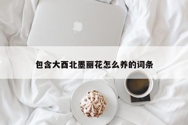 包含大酉北墨丽花怎么养的词条