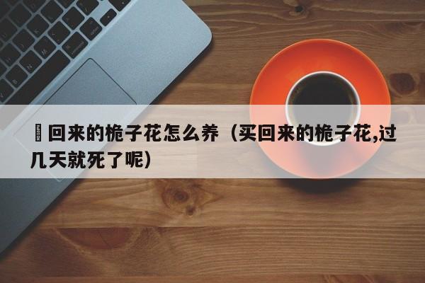 釆回来的桅子花怎么养（买回来的桅子花,过几天就死了呢）