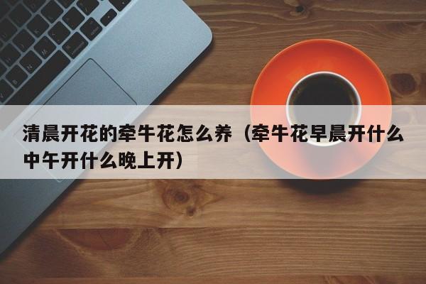 清晨开花的牵牛花怎么养（牵牛花早晨开什么中午开什么晚上开）