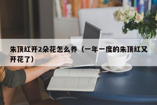 朱顶红开2朵花怎么养（一年一度的朱顶红又开花了）