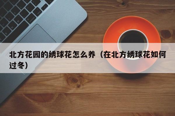 北方花园的绣球花怎么养（在北方绣球花如何过冬）