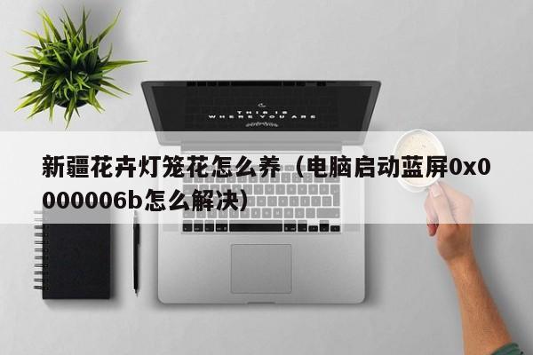新疆花卉灯笼花怎么养（电脑启动蓝屏0x0000006b怎么解决）