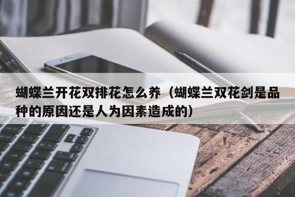 蝴蝶兰开花双排花怎么养（蝴蝶兰双花剑是品种的原因还是人为因素造成的）