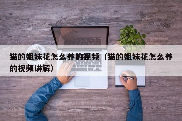 猫的姐妹花怎么养的视频（猫的姐妹花怎么养的视频讲解）