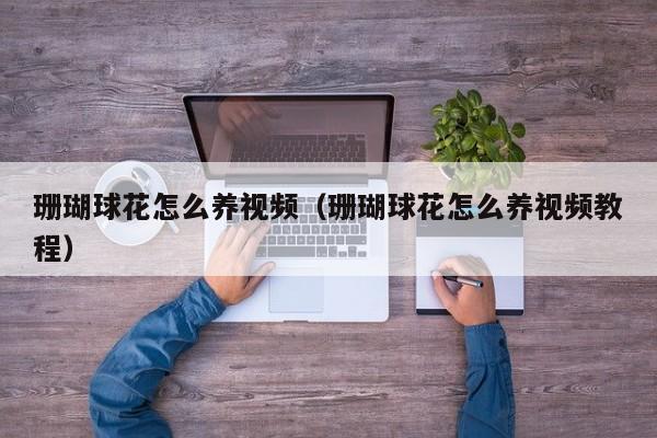 珊瑚球花怎么养视频（珊瑚球花怎么养视频教程）