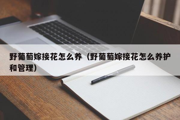 野葡萄嫁接花怎么养（野葡萄嫁接花怎么养护和管理）