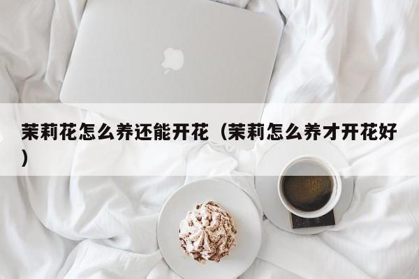 茉莉花怎么养还能开花（茉莉怎么养才开花好）