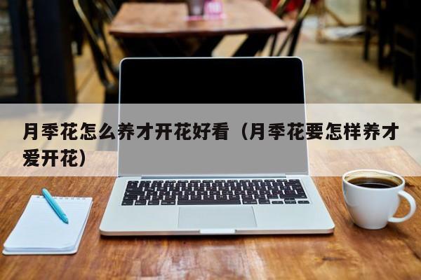 月季花怎么养才开花好看（月季花要怎样养才爱开花）